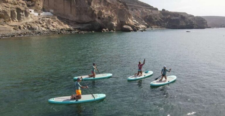Gran Canaria : 2h Stand Up Paddle board lessons - A Deep Dive into Gran Canaria’s Paddleboard Experience