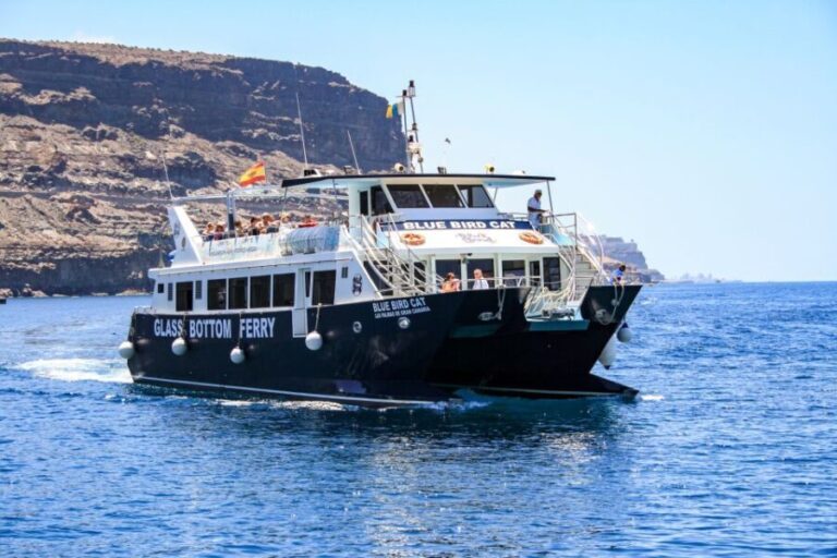 Gran Canaria: Catamaran Dolphin Watch Cruise with Snorkeling - Who Will Love This Tour?
