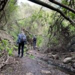 Gran Canaria: excursion to the Barranco de los Cernícalos - Practicalities: What to Bring and Wear