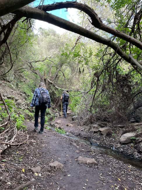 Gran Canaria: excursion to the Barranco de los Cernícalos - Practicalities: What to Bring and Wear