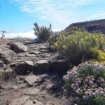 Gran Canaria: Full-Day Guided Hiking With Snacks - An Honest Look at the Gran Canaria Guided Hiking Tour