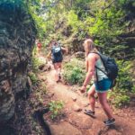 Gran Canaria: Guided Day Tour to Rainforest with Tasting - What to Expect and How to Prepare