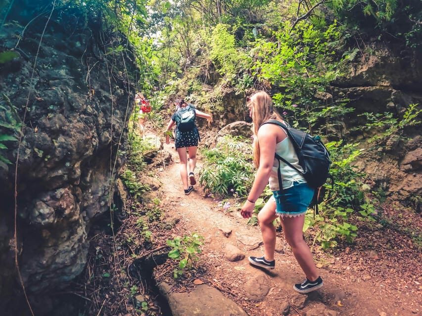 Gran Canaria: Guided Day Tour to Rainforest with Tasting - What to Expect and How to Prepare