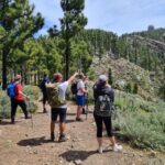 Gran Canaria: "Peaks of Gran Canaria" Hiking Tour - Final Thoughts: The Value of the "Peaks of Gran Canaria" Tour