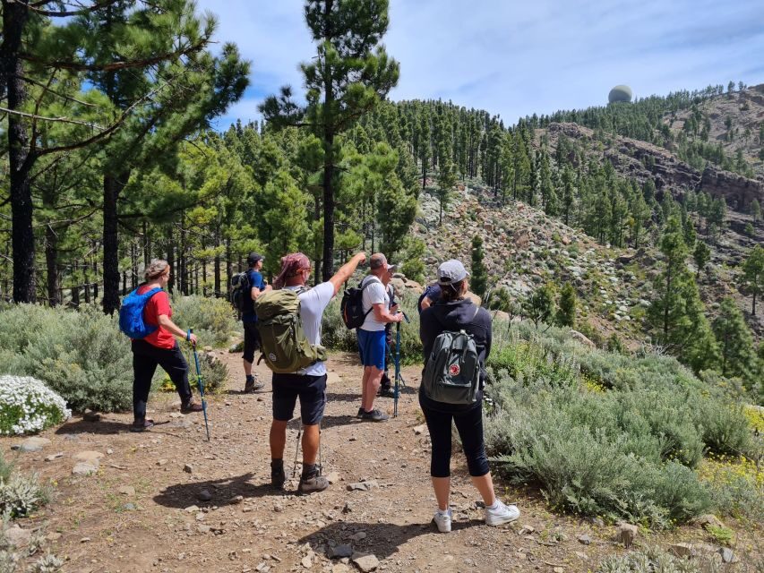 Gran Canaria: "Peaks of Gran Canaria" Hiking Tour - Final Thoughts: The Value of the "Peaks of Gran Canaria" Tour