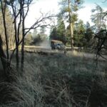 Grand Canyon: Off-Road Sunset Safari with Skip-the-Gate Tour - The Off-Road Experience: Why It Matters