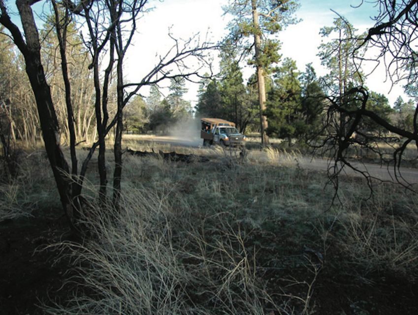 Grand Canyon: Off-Road Sunset Safari with Skip-the-Gate Tour - The Off-Road Experience: Why It Matters