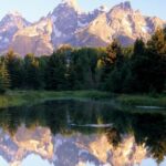 Grand Teton National Park Tour from Jackson Hole - Who Should Consider This Tour?