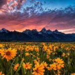 Grand Teton: Private Guided Tour (Sunset) - An In-Depth Look at the Grand Teton Sunset Tour
