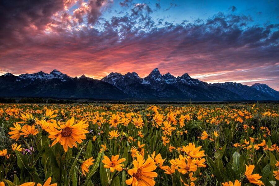 Grand Teton: Private Guided Tour (Sunset) - An In-Depth Look at the Grand Teton Sunset Tour