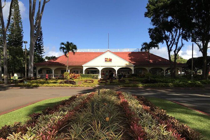 Grand Tour Around Island 16 Locations plus Snorkeling - Who Should Consider This Tour?