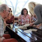 Grand Tour - Nicosia & Larnaca, from Limassol - What to Expect from the Transportation and Overall Value