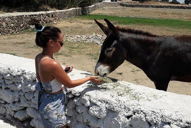 Grand Tour of Mykonos - Frequently Asked Questions