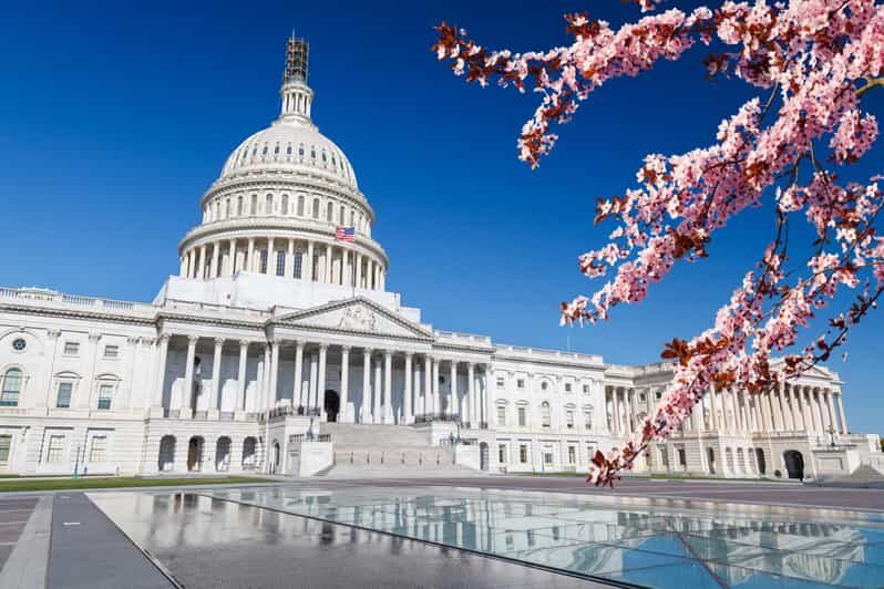 Grand Tour Of Washington DC - What We Love About This Tour