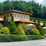 Grandfather Mountain Private Wine & Dine Tour from Asheville - First Stop: Grandfather Vineyard & Winery