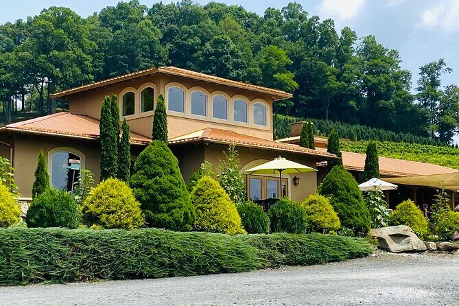 Grandfather Mountain Private Wine & Dine Tour from Asheville - First Stop: Grandfather Vineyard & Winery