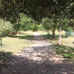Grantchester: Walking Tour of TV Show Locations - In-Depth Review of the Grantchester TV Locations Walking Tour