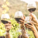 Grape Escapes Full-Day Private Wine Tour in Ithaca - Exploring the Finger Lakes with Grape Escapes