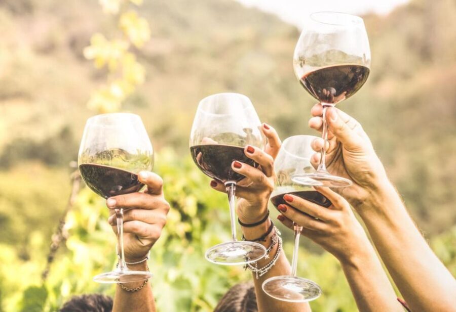 Grape Escapes Full-Day Private Wine Tour in Ithaca - Exploring the Finger Lakes with Grape Escapes