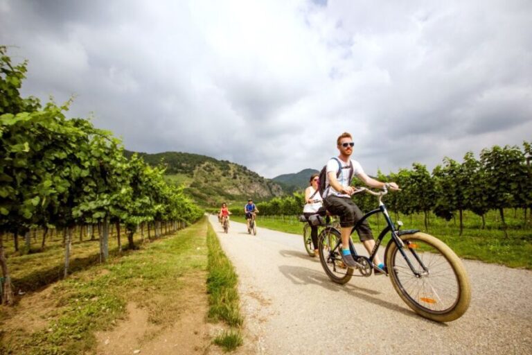 Grape Grazing: Wachau Valley Winery Biking Tour - What’s Included and What to Expect