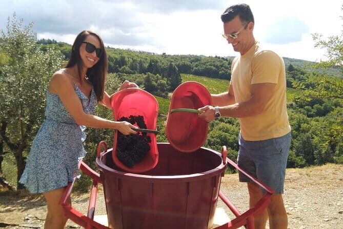 Grape Stomping and Wine Tasting in Tuscany - Guided Tour of the Winery