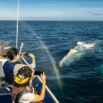 Gray Whale Watching Tour with Marine Biologist and Small Group - Who Should Consider This Tour