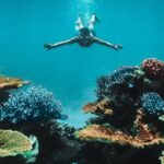 Great Barrier Reef Cruise from Townsville or Magnetic Island - Authentic Experiences and Real Feedback