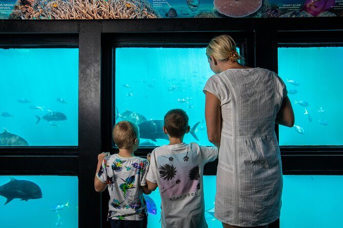 Great Barrier Reef Full Day Adventure - Who Should Consider This Tour?