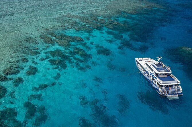 Great Barrier Reef Full Day Tour from Cairns - FAQ: Practical Questions About the Tour