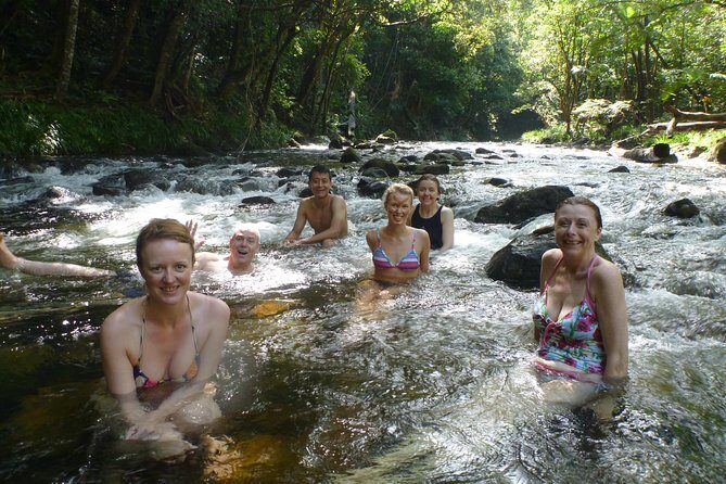 Great Barrier Reef or Rainforest Scenic Flights from Port Douglas - An In-Depth Look at the Scenic Flight Experience