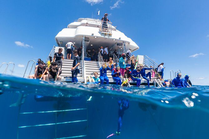 Great Barrier Reef Snorkeling and Diving Cruise from Cairns - What the Reviews Say