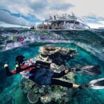 Great Barrier Reef with Cultural Guides-Dreamtime Dive & Snorkel - What Sets This Tour Apart: Authenticity and Value