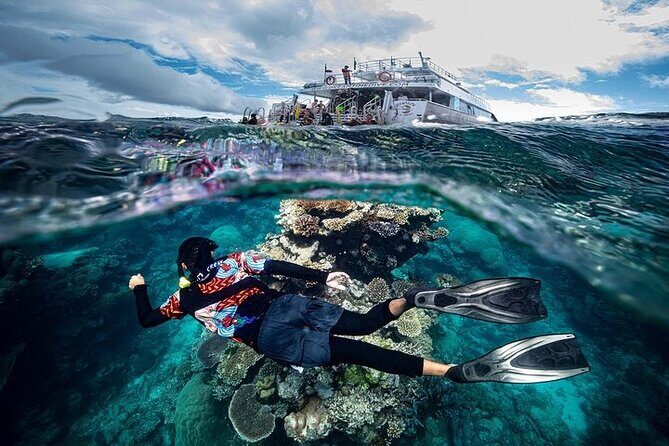 Great Barrier Reef with Cultural Guides-Dreamtime Dive & Snorkel - What Sets This Tour Apart: Authenticity and Value