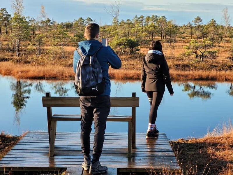 Great emeri Bog & Swamp Forest Hiking Adventure