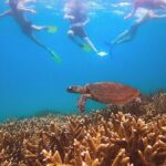 Great Keppel Island Day Trip with Lunch - The Sum Up: Is This Tour Right for You?