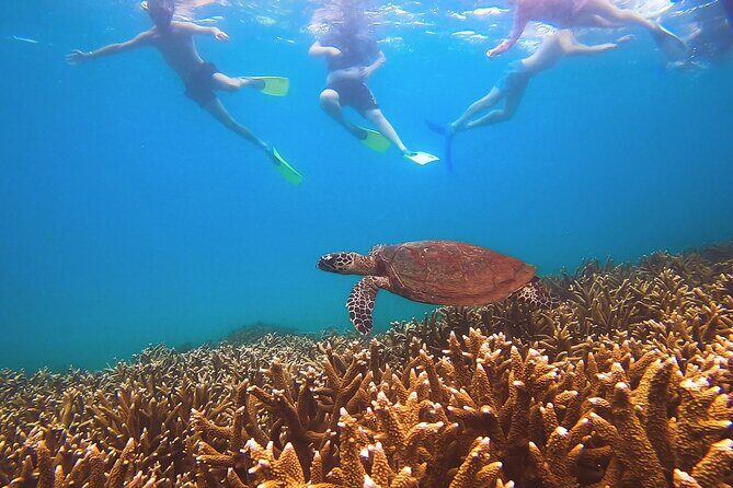 Great Keppel Island Day Trip with Lunch - The Sum Up: Is This Tour Right for You?
