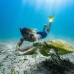 Great Keppel Island Glass Bottom Boat Tour & Ferry Transfer - Who Is This Tour Best For?