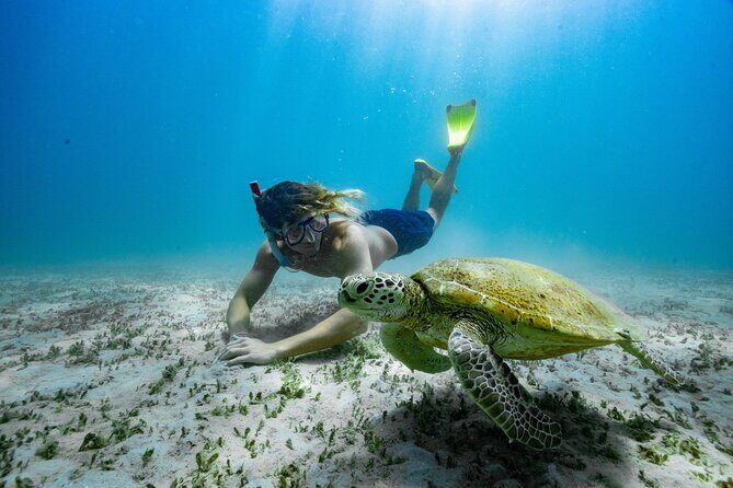 Great Keppel Island Glass Bottom Boat Tour & Ferry Transfer - Who Is This Tour Best For?