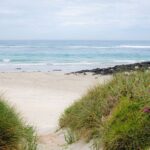 Great Ocean Road and 12 Apostles Tour - Exploring the Itinerary: What You Can Expect
