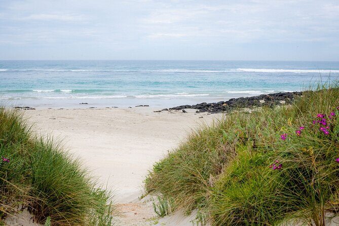 Great Ocean Road and 12 Apostles Tour - Exploring the Itinerary: What You Can Expect
