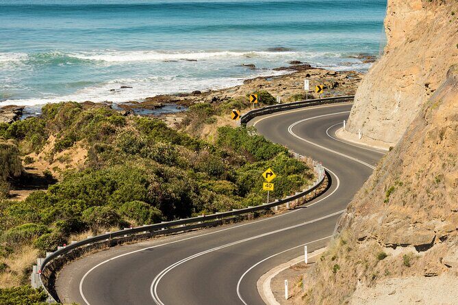 Great Ocean Road Coastal Spectcular with Wildlife Wonders - The Value of a Private, Guided Experience