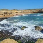 Great Ocean Road Private Day Tour - Who Will Love This Tour?
