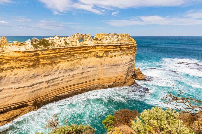 Great Ocean Road Private Tour In Luxury Vehicle.Customised Option - A Deep Dive into the Experience