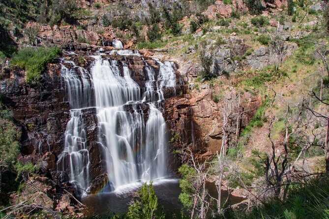 Great Ocean Road to Grampians 2 Day 1 Night Tour from Melbourne to Adelaide - Possible Drawbacks and Considerations