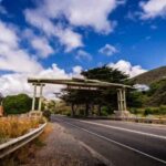 Great Ocean Road Tour Melbourne In Relaxed Way 8:10AM Start - Exploring Otway National Park