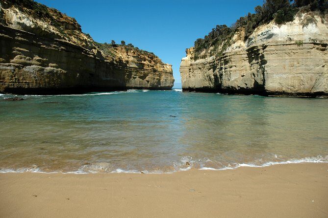 Great Ocean Road Tour Plus Koalas, Forest Walk and Morning Tea - Who Would Love This Tour?