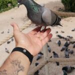 Green Full-Day Tour in Cappadocia - What’s Included and What to Keep in Mind
