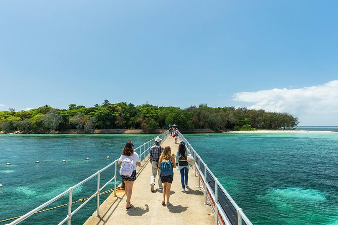 Green Island Day Trip from Cairns - Analyzing the Value