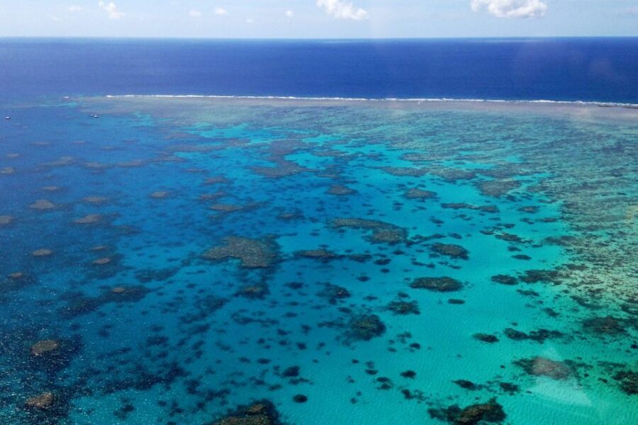 Green Island Fly & Cruise Package - Final Thoughts: Who Will Love This Tour?