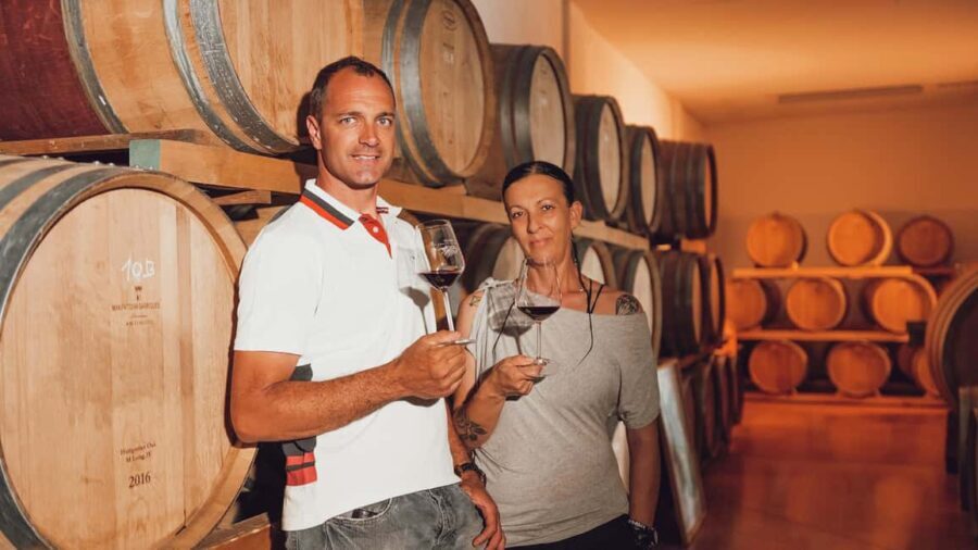 Greve in Chianti: Tour and tasting of organic Chianti Classico and Tuscan snacks - Why This Tour Offers Good Value